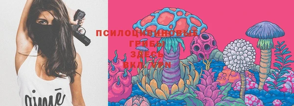 спайс Заволжье
